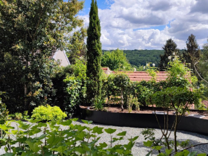 jardin avec un point d'eau